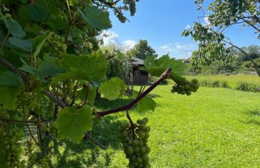 Bungalow am Wreecher See - Foto 14