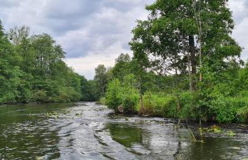 Domek w polu - Foto 49