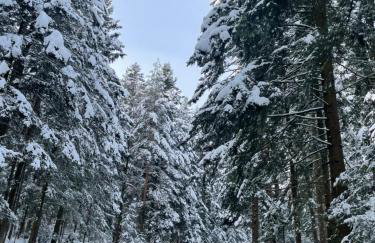 Przyszowa 441 - Photo 54