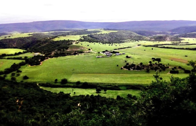 Farm Stays, Here you Will be Able to Relax and Enjoy the Beauty of Nature - Foto 64