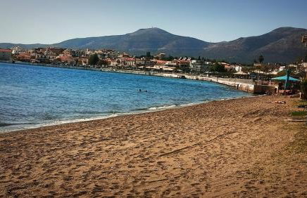 Farmhouse with pool minutes from beach - Photo 18