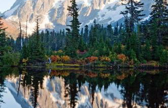 Cascade River Bungalow in the North Cascades - Foto 50