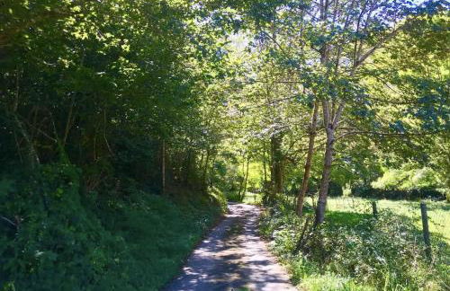 CANGAS DE ONIS RURAL HOUSE WITH VIEWs - Foto 18