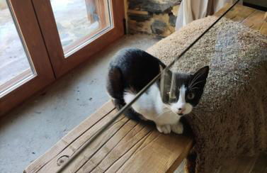 PampiHouse, casa de xisto junto ao rio - Foto 21