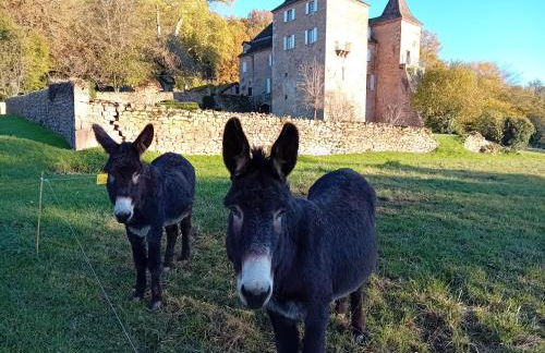 Manoir du Boscau, Louis IX - Foto 26