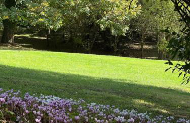 Manoir et Appartements avec piscine au Domaine de Bize Mirepoix - Foto 6