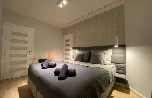 Apartament Opieszyn 16 - Foto 8