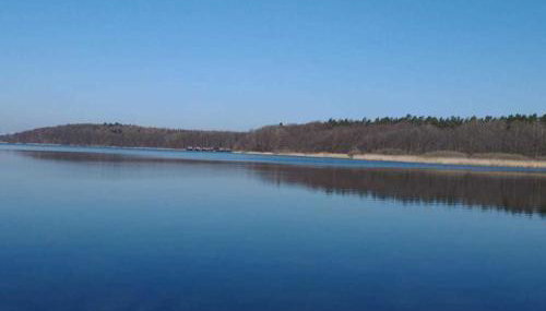 tierfreundliche Ferienwohnung - Foto 2