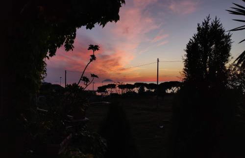 Villa Giulia - Foto 20