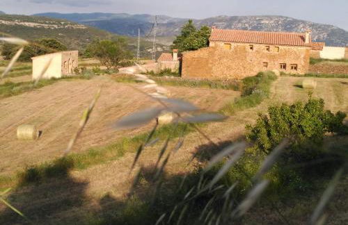 Masia Campos Culla - Foto 8