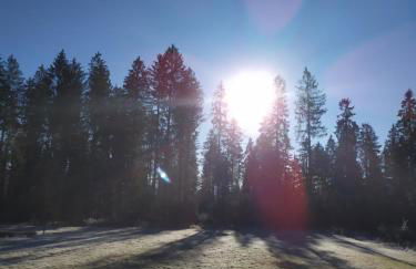 Ferienwohnung GABI - Foto 43