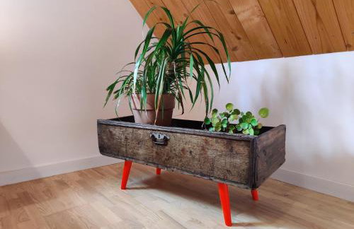 Dom Szumią Wierzby - Foto 47