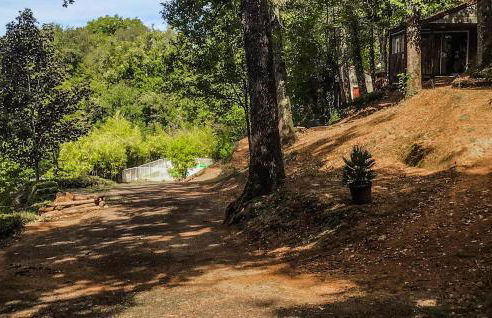 2 Bedroom Lovely Home In Altillac - Foto 13