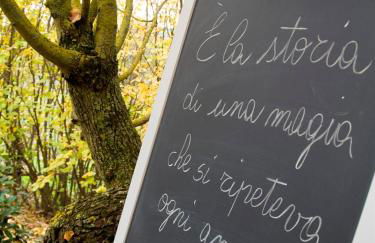 Il Vecchio Milipano - Foto 12