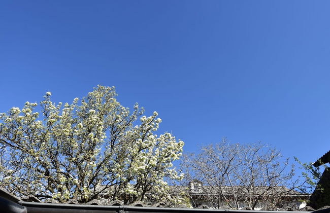 Belvilla by OYO Casa Labirinto - Foto 13