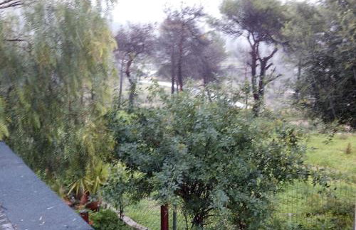 Marry's Guesthouse - Foto 20