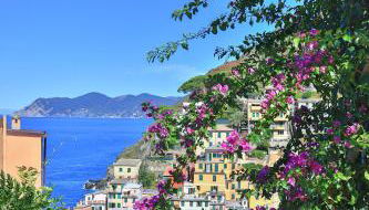 5 Terre For You - Foto 1