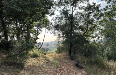 Casa Cabeço do Barragão - Photo 30