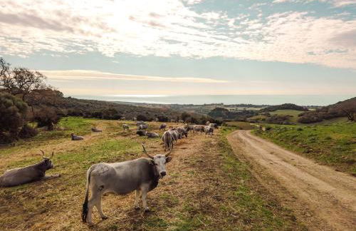Agriturismo Morani - Foto 44
