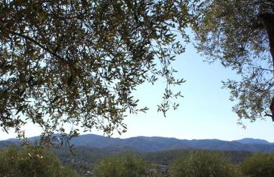 "La Colombe sous les Oliviers" Gîte jusqu'à 4 personnes - 75m2 - Sur Boooking - Rez de jardin Piscine Vue mer et lac - Foto 38