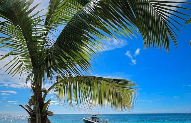 Barbuda Cottages - Foto 23