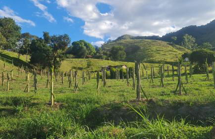 Sítio com piscina natural Cachoeiras de Macacu - Foto 45
