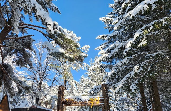 Mona Yongpyong Tower Condominium - Foto 44