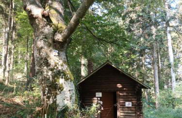 Le Kesbel entre Strasbourg et Colmar en centre Alsace - Foto 34