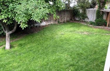 Sunny Days! Room for All and Pet Friendly - Foto 8