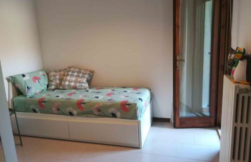 Prato Verde - Girasole - Foto 47