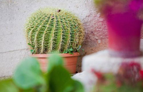 The Ana Apartments - Photo 30