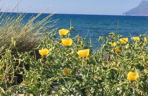 Landro House - Foto 48