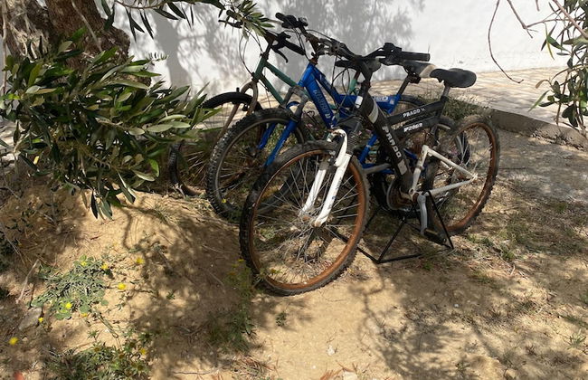 Villa in the Mountains Hammamet - Photo 28