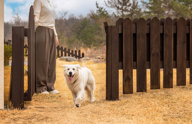 Kensington Resort Seorak Valley - Foto 36