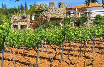 JARANDALUS (casa con atractivo y encanto) - Foto 48