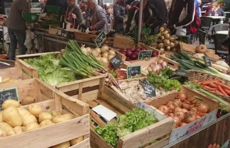 La Terre du Midi à Sérignan - Foto 9