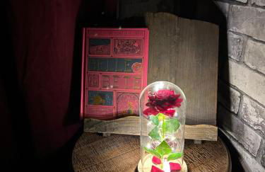 La Belle et le Nooki - Foto 16