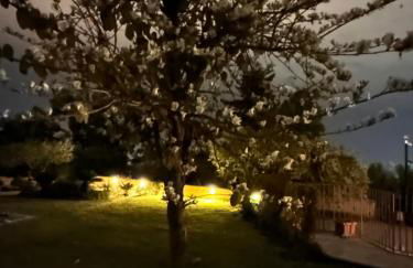 La Casetta di Lollò - Foto 41