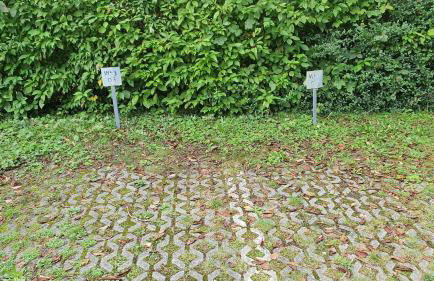 Ferienwohnung für 5 Personen in Wasserburg - Foto 25