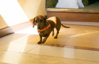 Rex Hotel Residence - Foto 55