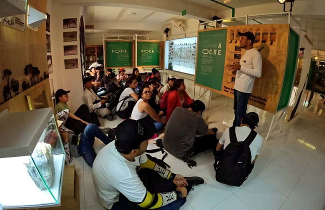 Tour por el Museo de Historia Natural de la Tatacoa + Taller de fósiles - Foto 7