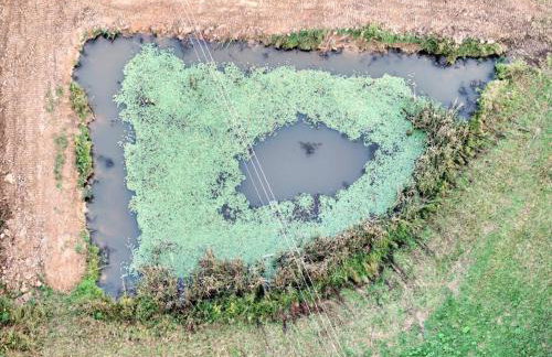 Sleeps 5-6 Near RRG-Hot Tub-Nice Sunrise-Quiet - Foto 70