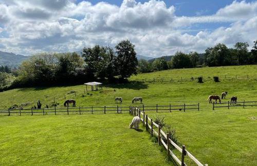 Les Perruchons ancienne grange rénovée avec soin - Foto 4