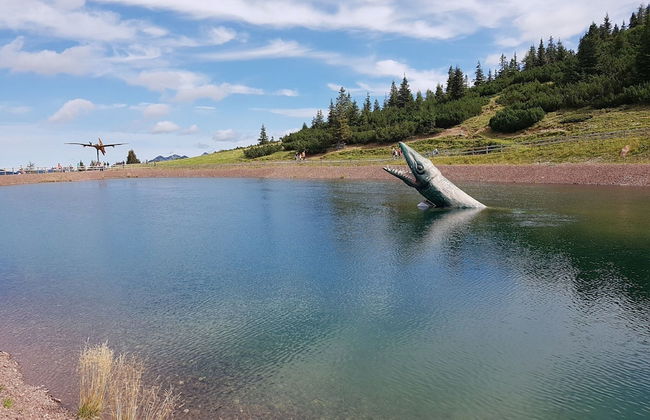 Apartment in Kirchdorf Near Ski Slopes - Foto 24