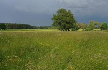 Agroturystyka Pasynki 44 - Foto 30