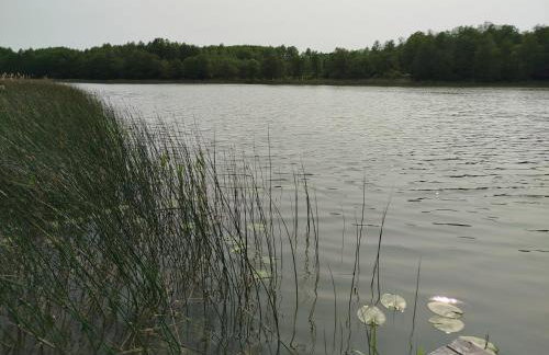 Domek ZOZO nad jeziorem w Okuniowcu - Foto 67