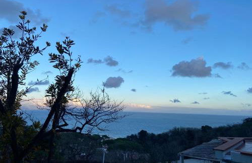 Ippocampo Blanc - Foto 10