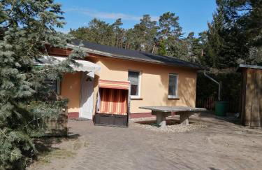 Spreewaldhäuser Golinski mit Kamin am Neuendorfer See - Foto 64