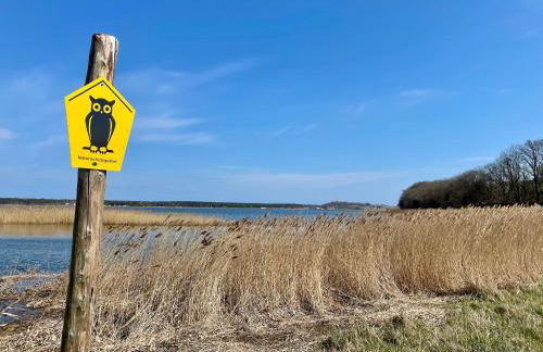 Ferienanlage in Klein Zicker Ferienwohnung 1 - Seeseite - Foto 30