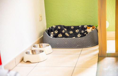 Nancy Thermal à 2 min -Le 1909- 8 pers- parking chez Julie - Photo 30